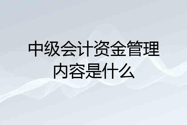 中级会计资金管理内容是什么