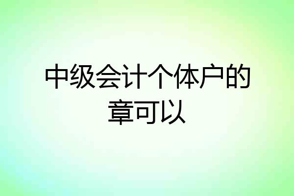 中级会计个体户的章可以