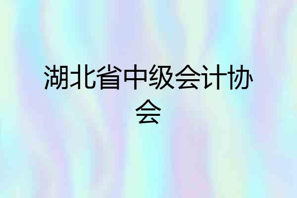 湖北省中级会计协会