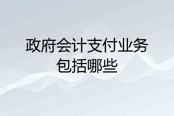 政府会计支付业务包括哪些