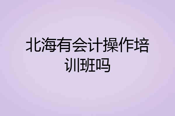 北海有会计操作培训班吗