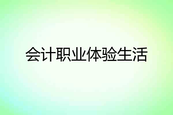 会计职业体验生活