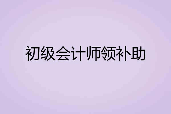 初级会计师领补助