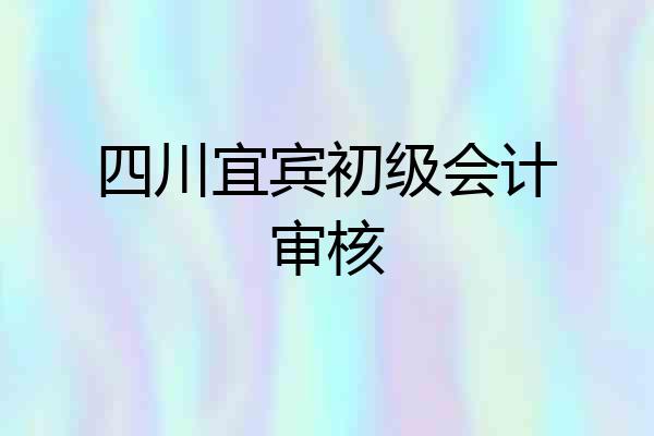 四川宜宾初级会计审核