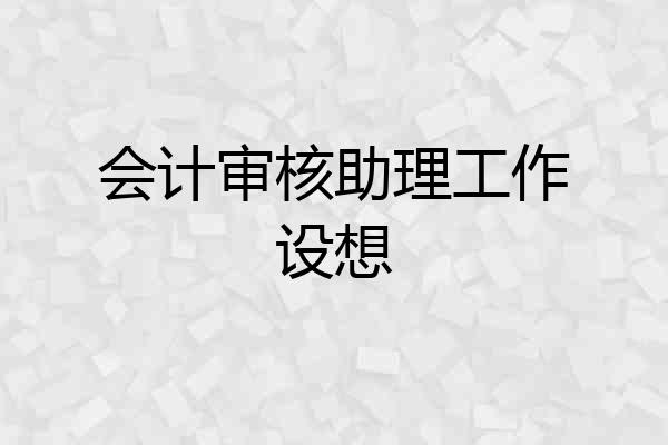 会计审核助理工作设想