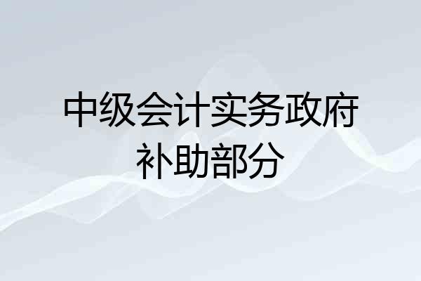中级会计实务政府补助部分