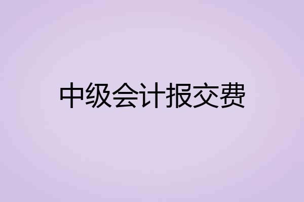中级会计报交费