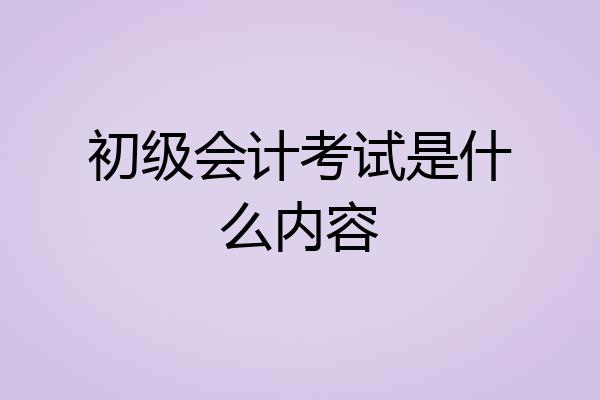 初级会计考试是什么内容