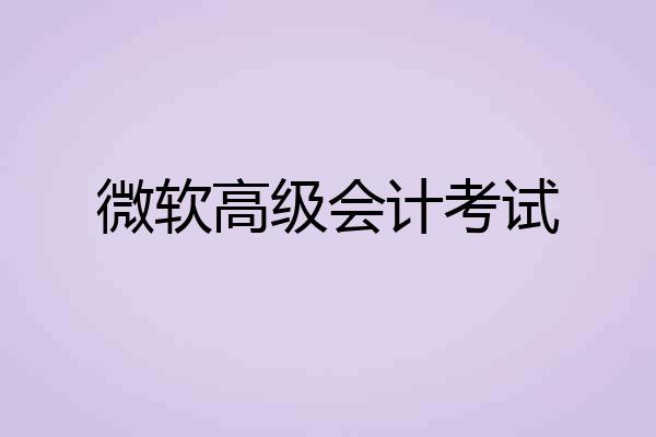 微软高级会计考试