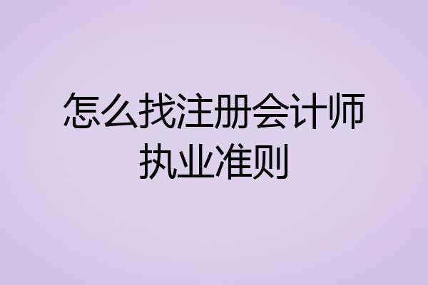 怎么找注册会计师执业准则