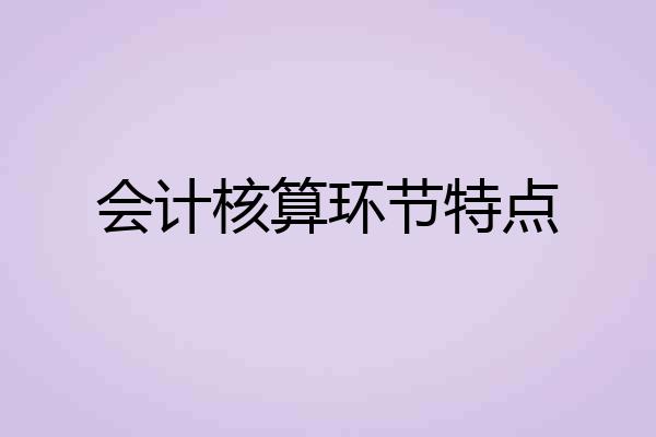 会计核算环节特点