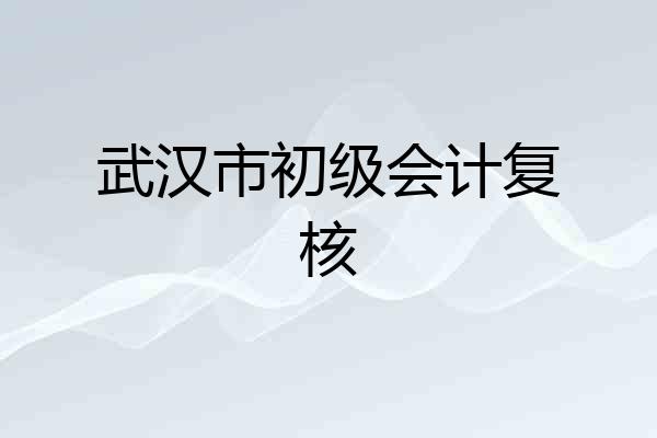 武汉市初级会计复核