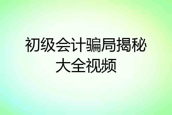 初级会计骗局揭秘大全视频