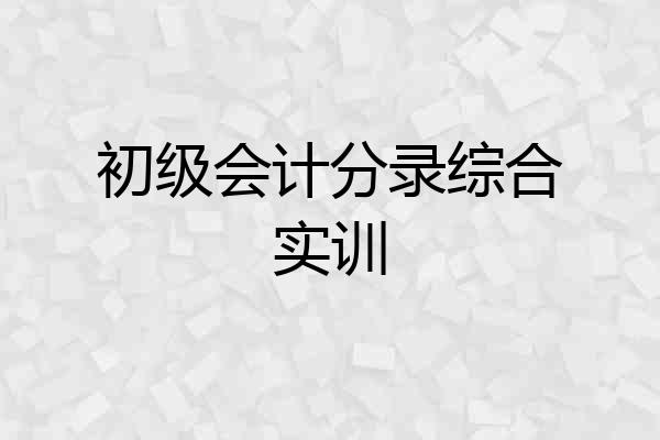 初级会计分录综合实训