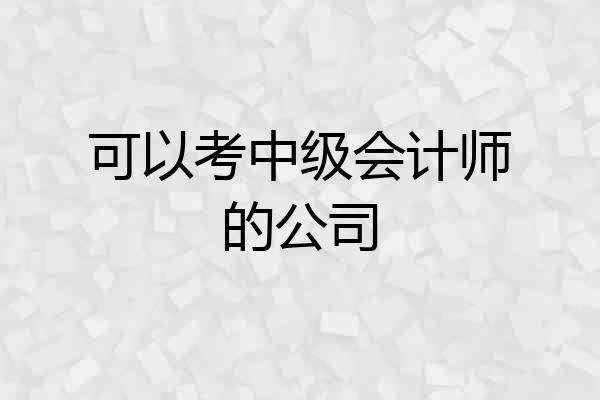 可以考中级会计师的公司