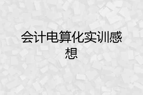会计电算化实训感想