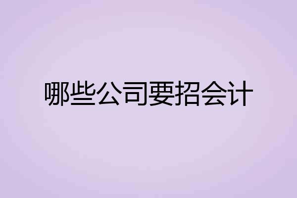 哪些公司要招会计