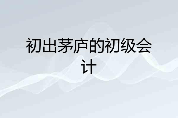初出茅庐的初级会计