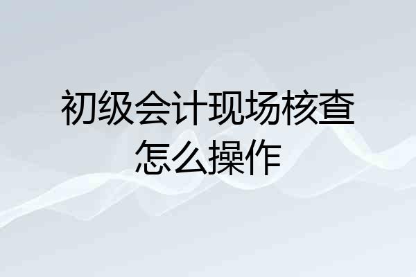 初级会计现场核查怎么操作