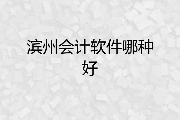 滨州会计软件哪种好