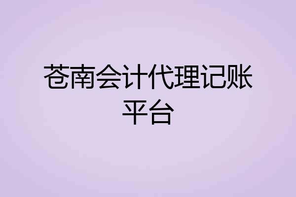 苍南会计代理记账平台