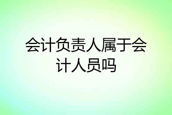 会计负责人属于会计人员吗