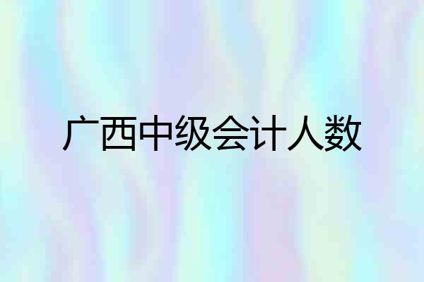 广西中级会计人数