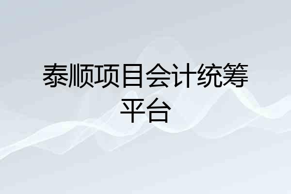 泰顺项目会计统筹平台