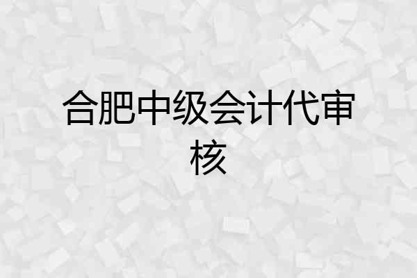 合肥中级会计代审核