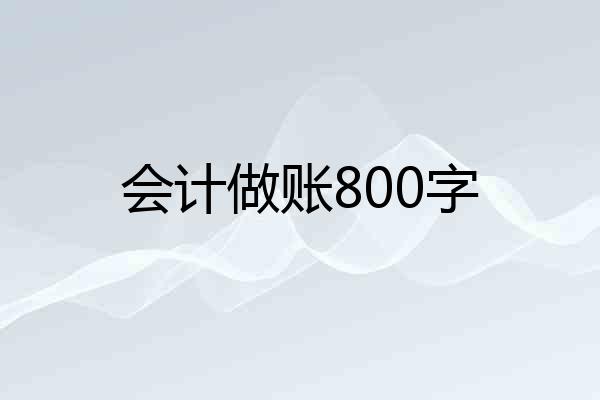 会计做账800字