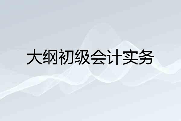 大纲初级会计实务