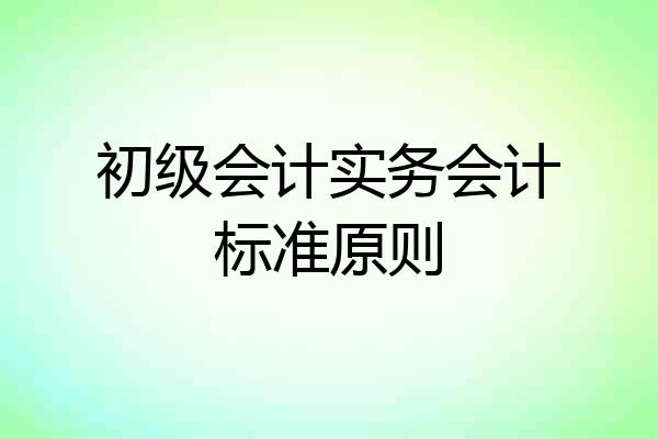 初级会计实务会计标准原则