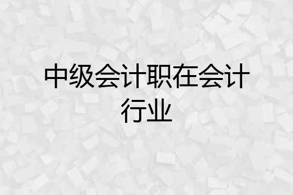 中级会计职在会计行业
