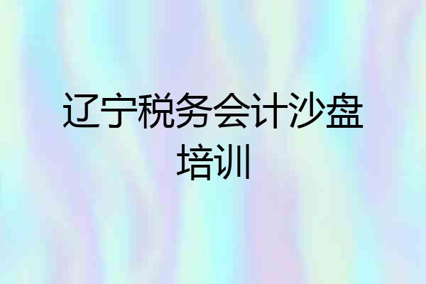 辽宁税务会计沙盘培训