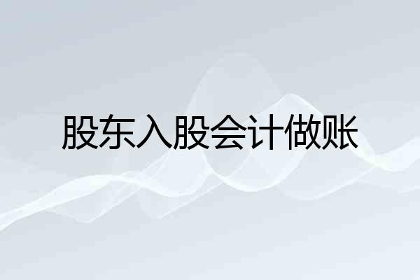股东入股会计做账
