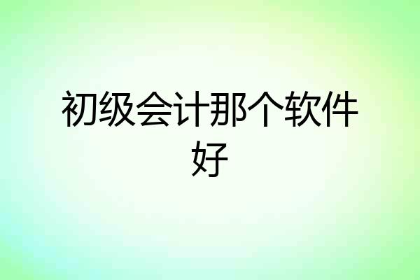 初级会计那个软件好