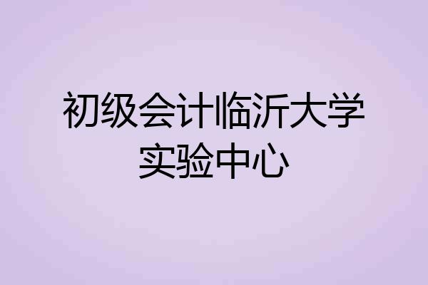 初级会计临沂大学实验中心