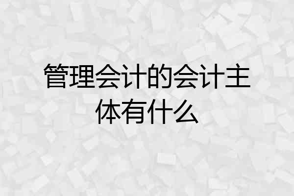 管理会计的会计主体有什么