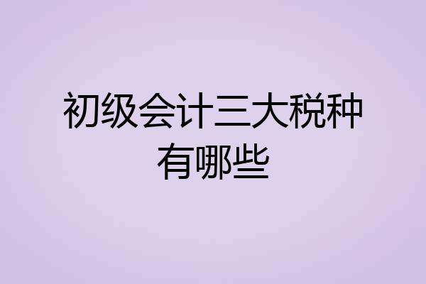 初级会计三大税种有哪些