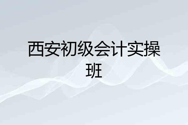 西安初级会计实操班