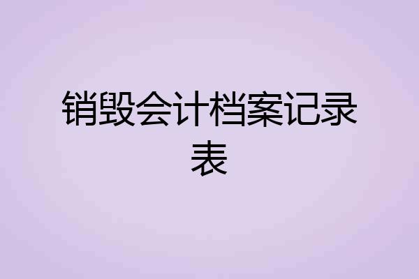 销毁会计档案记录表