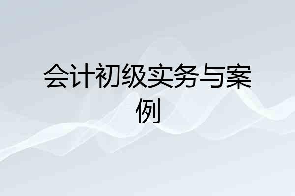 会计初级实务与案例