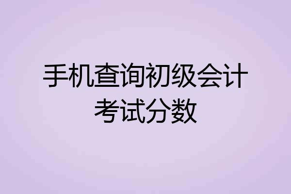 手机查询初级会计考试分数