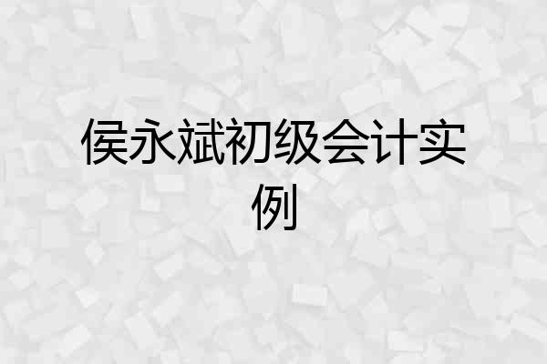 侯永斌初级会计实例