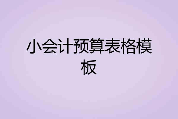 小会计预算表格模板