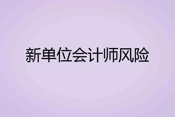 新单位会计师风险