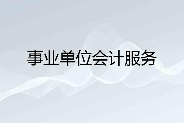 事业单位会计服务