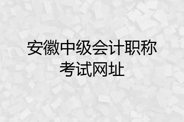 安徽中级会计职称考试网址
