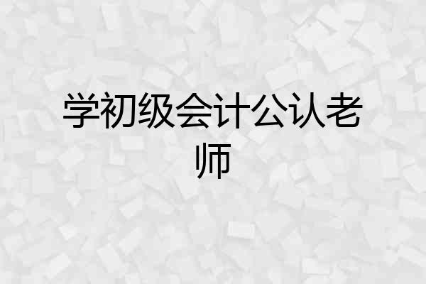 学初级会计公认老师