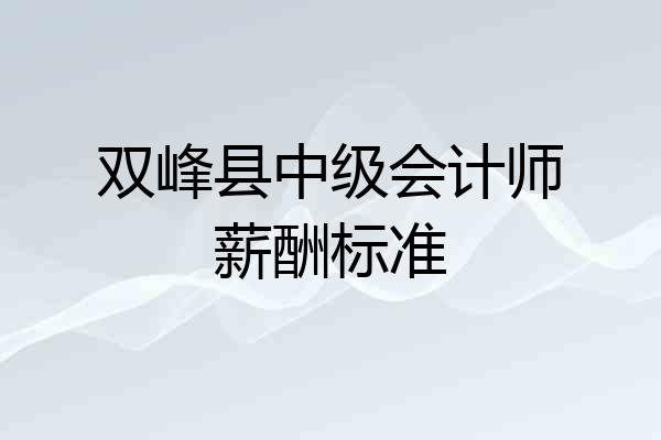 双峰县中级会计师薪酬标准